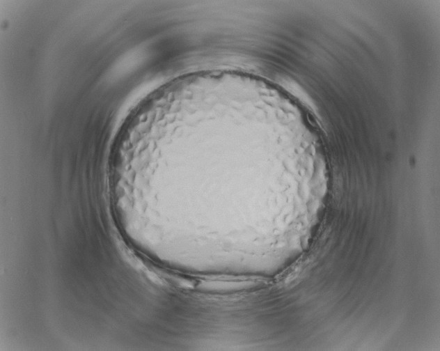 X0000060771088200512082027