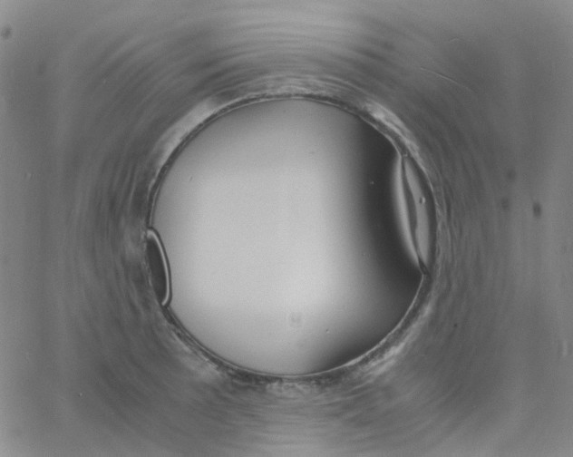 X0000060771089200512082027