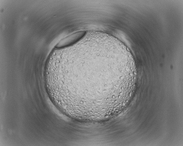 X0000060771091200512082027