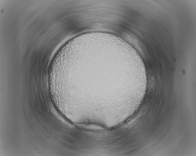 X0000060771092200512082027