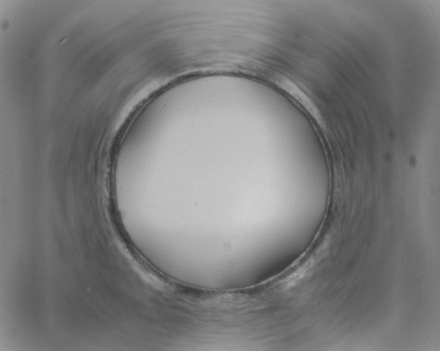 X0000060771093200512082027