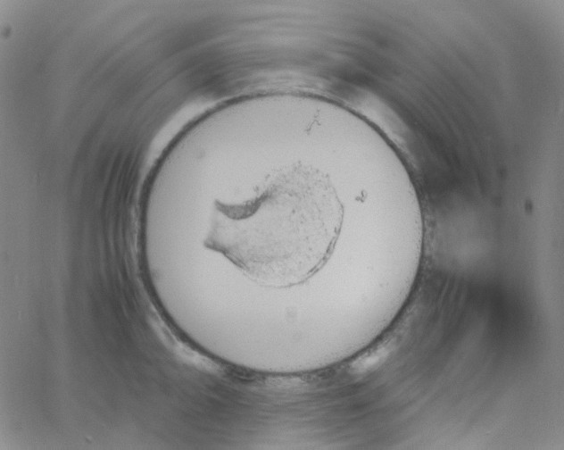 X0000060771094200512082027