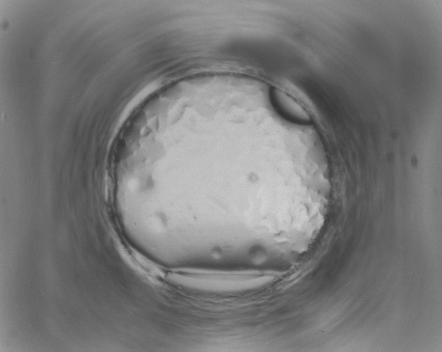 X0000060771095200512082027