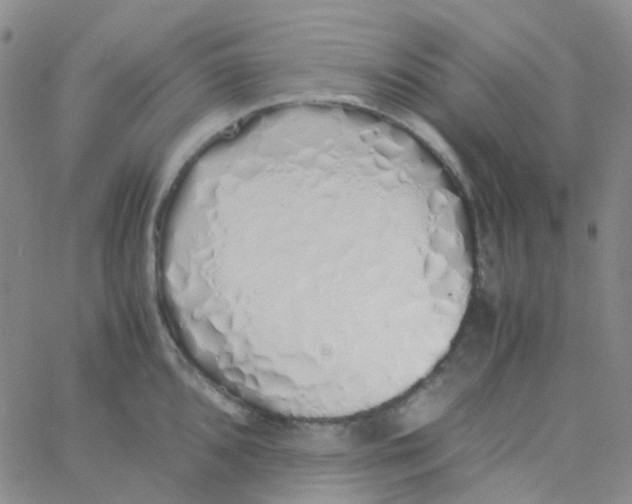 X0000060771096200512082027