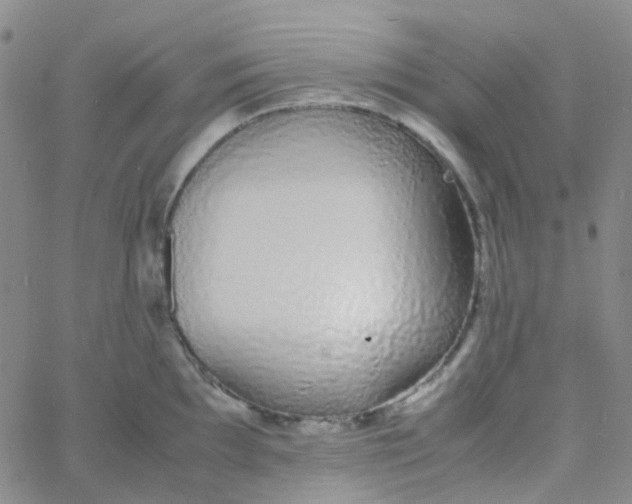 X0000060771097200512082027