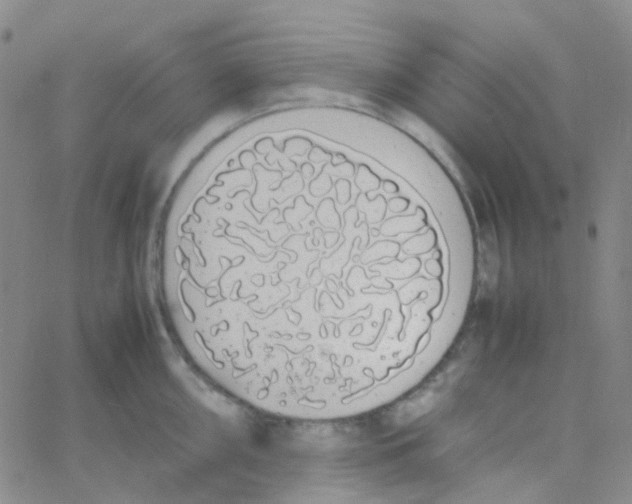 X0000060771098200512082027