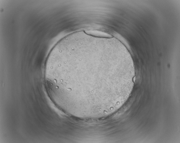 X0000060771099200512082027