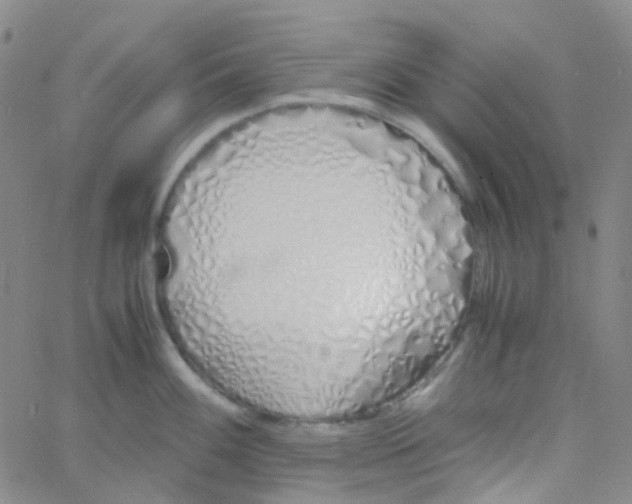 X0000060771100200512082027