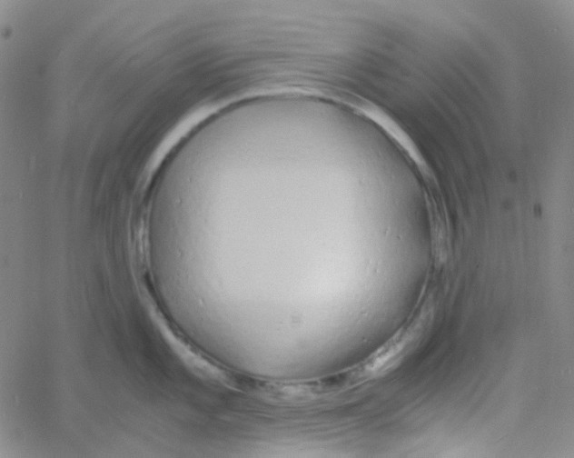 X0000060771101200512082027