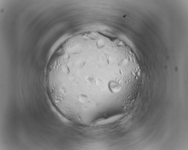 X0000060771103200512082027