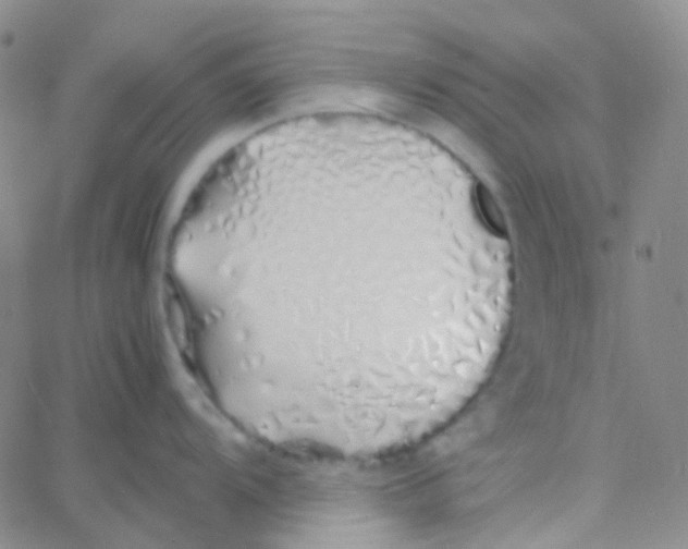 X0000060771104200512082027