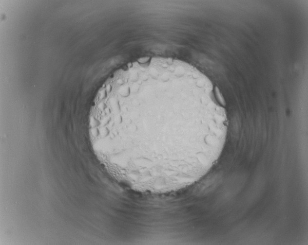 X0000060771105200512082026