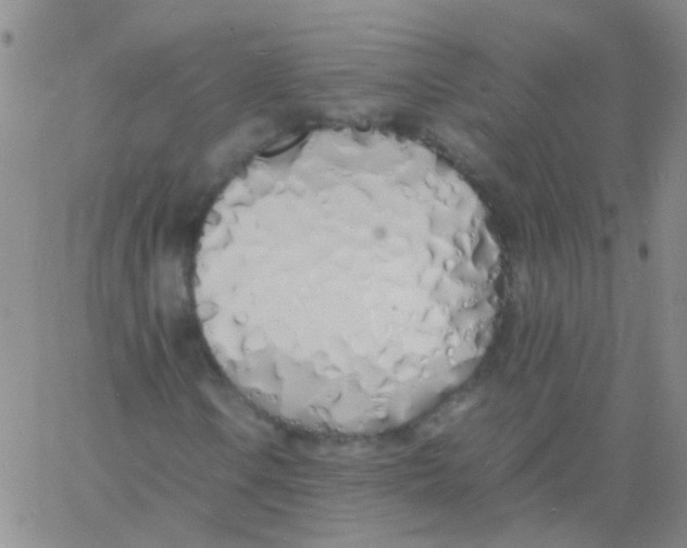 X0000060771106200512082026