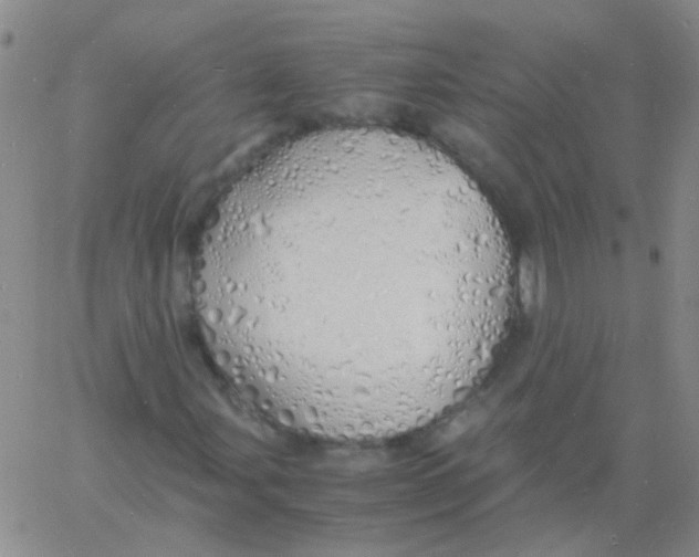 X0000060771107200512082026