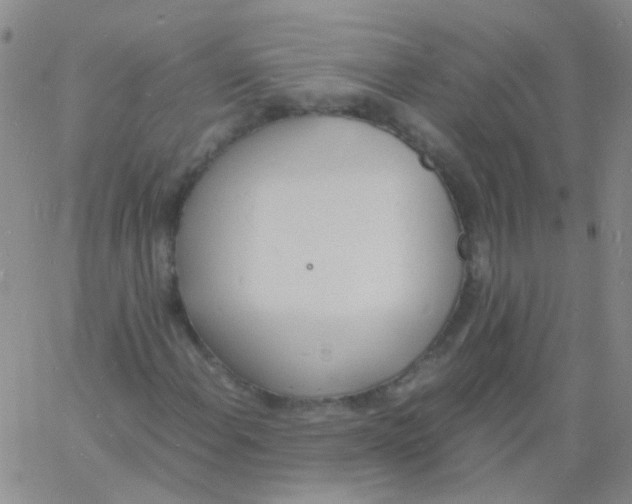 X0000060771108200512082026