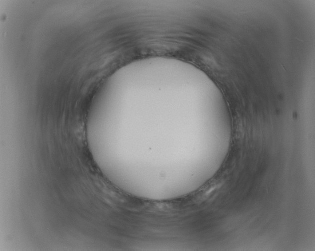 X0000060771109200512082026