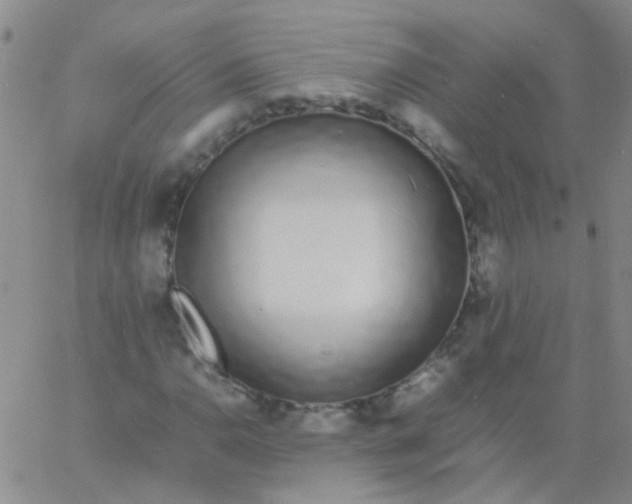 X0000060771110200512082026