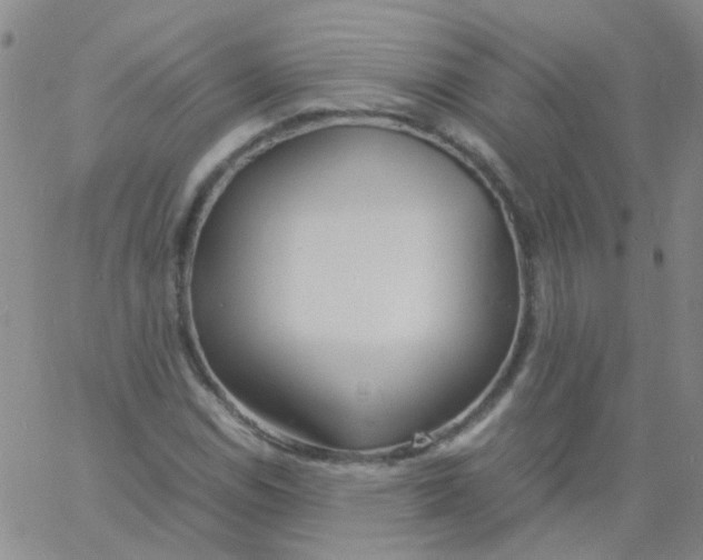 X0000060771114200512082026