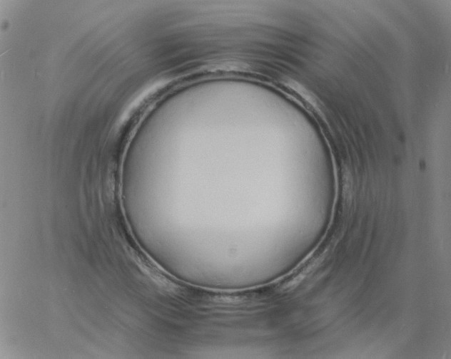 X0000060771115200512082026