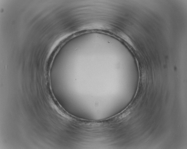 X0000060771116200512082026