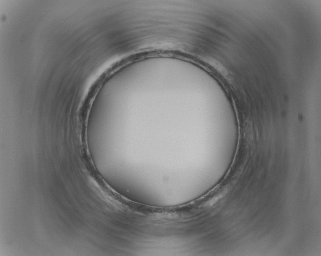 X0000060771118200512082026