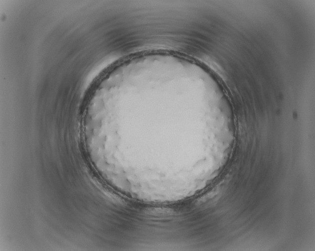 X0000060771119200512082026