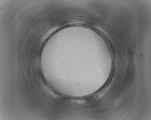 X0000060771121200512082026