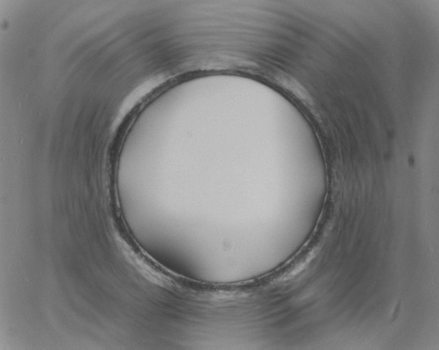 X0000060771122200512082026