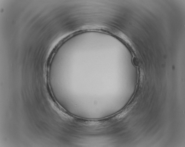 X0000060771124200512082027