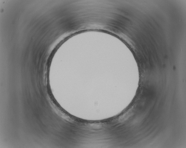 X0000060771126200512082027