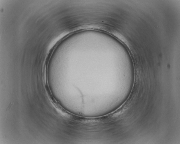 X0000060771127200512082027