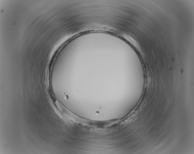 X0000060771128200512082027