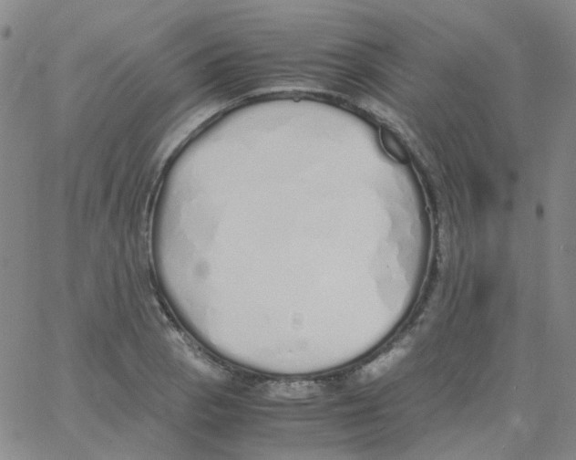 X0000060771129200512082027