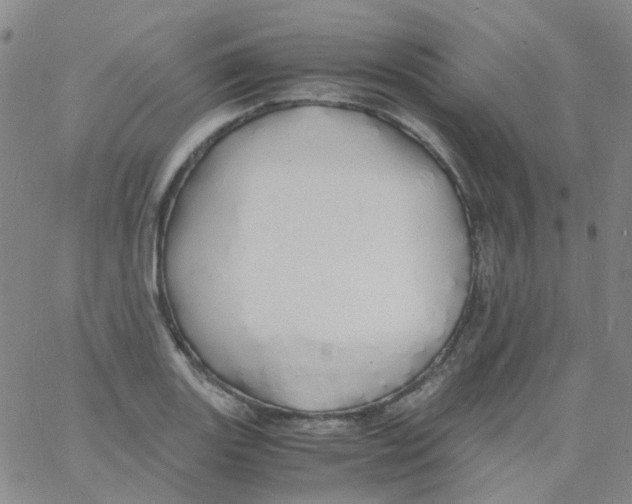 X0000060771131200512082027