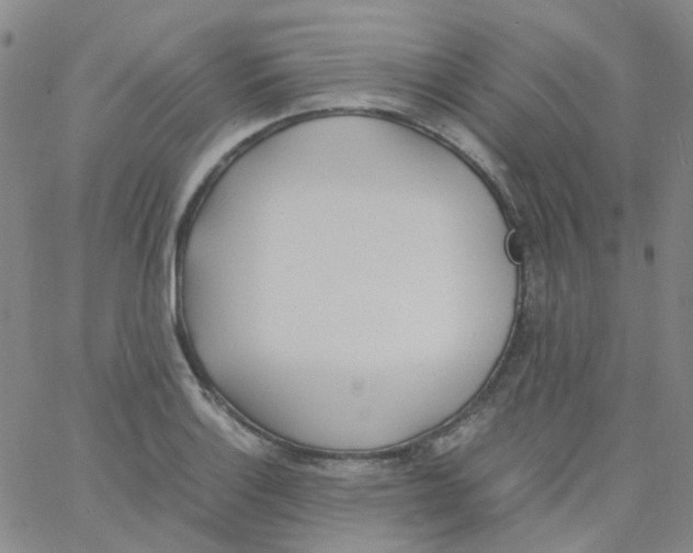 X0000060771132200512082027