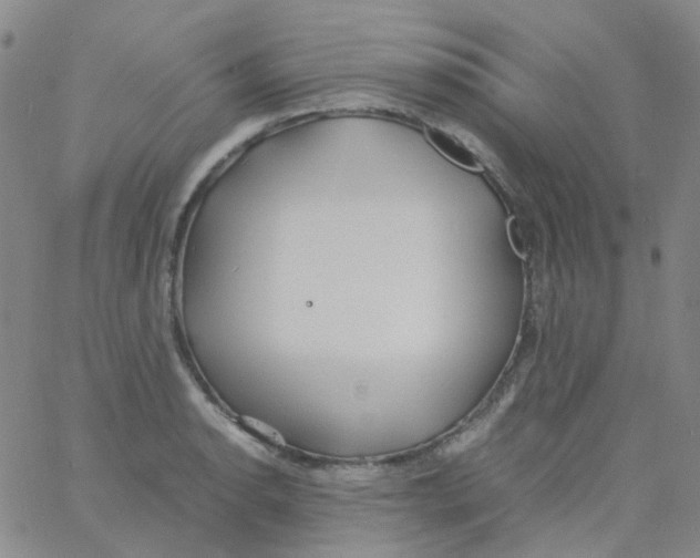 X0000060771134200512082027