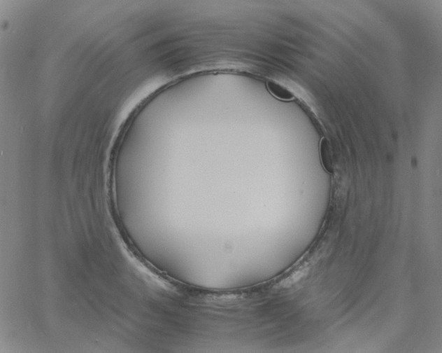 X0000060771135200512082027