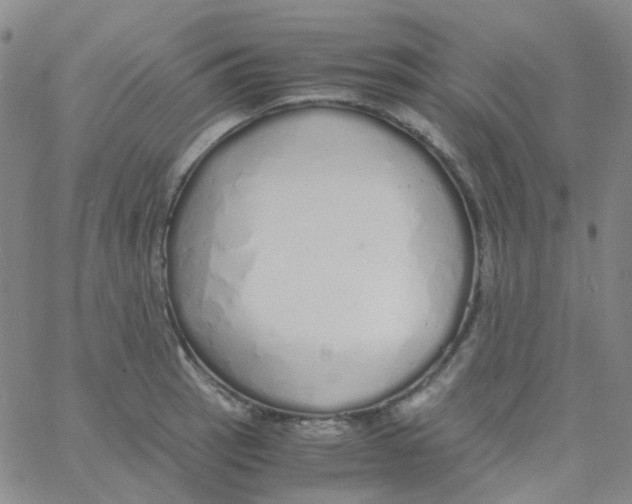 X0000060771137200512082027