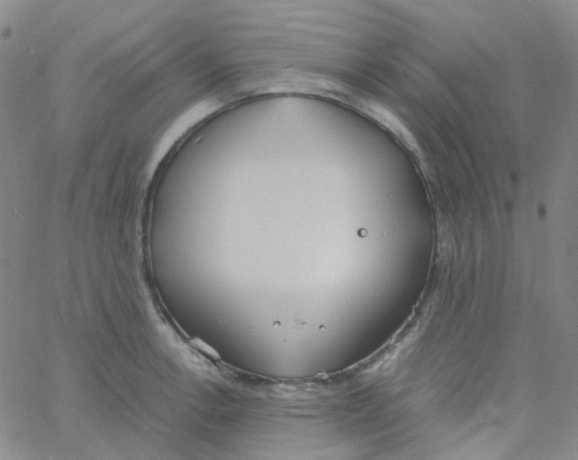 X0000060771138200512082027