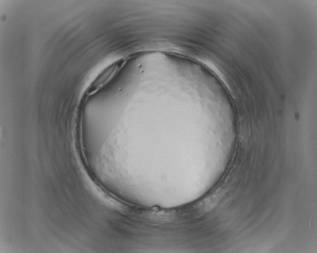 X0000060771139200512082027