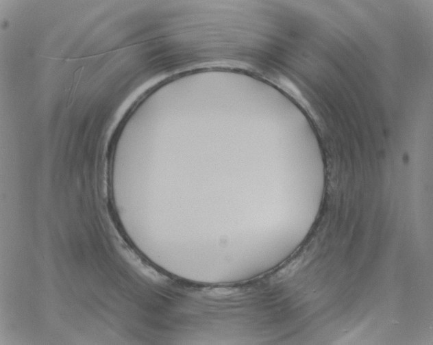 X0000060771140200512082027