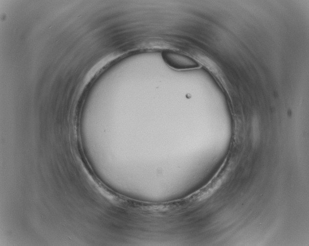 X0000060771141200512082027