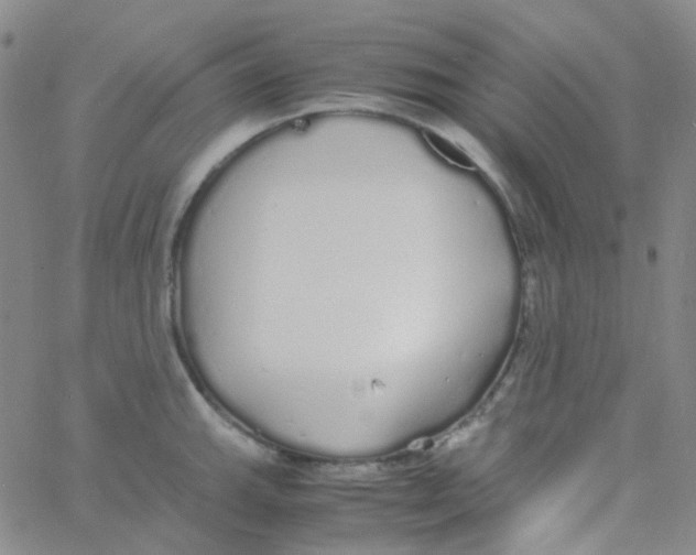 X0000060771143200512082027