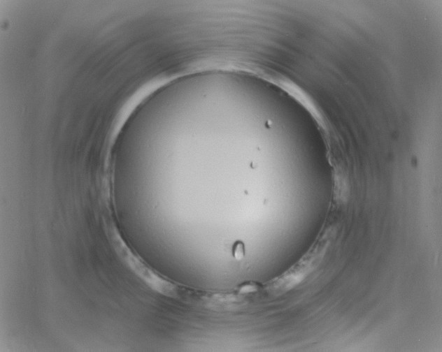 X0000060771148200512082027