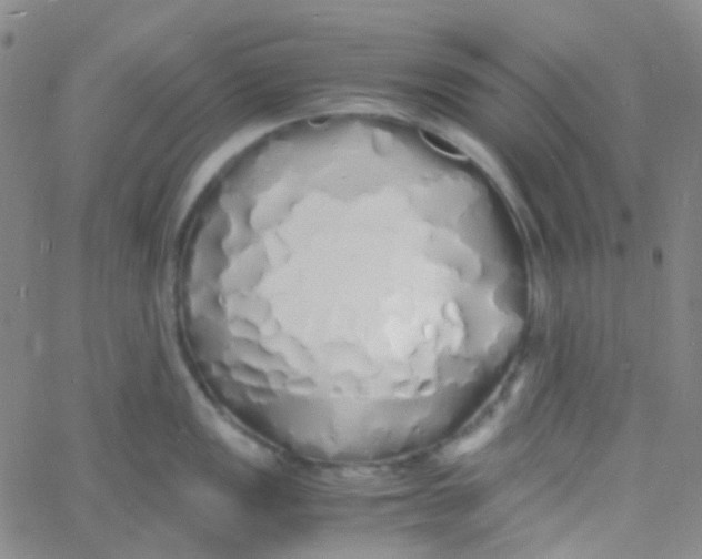 X0000060771149200512082027