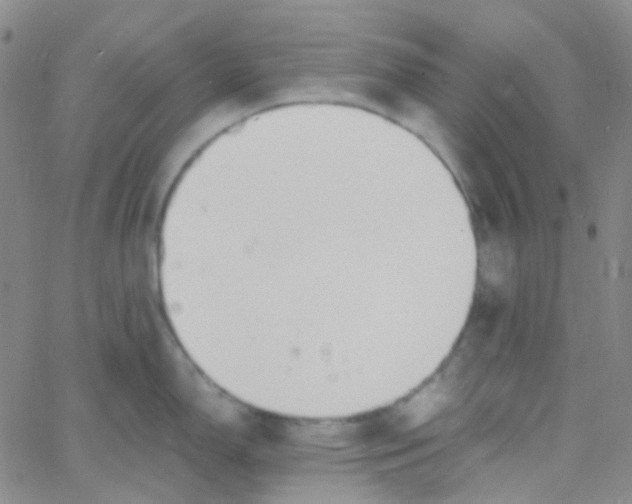 X0000060771150200512082027