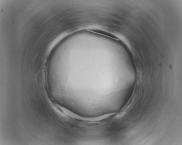 X0000060771151200512082027