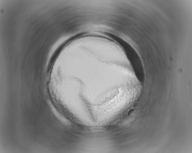 X0000060771152200512082027