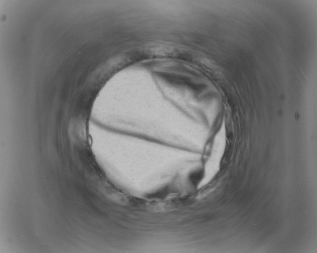 X0000060771155200512082026