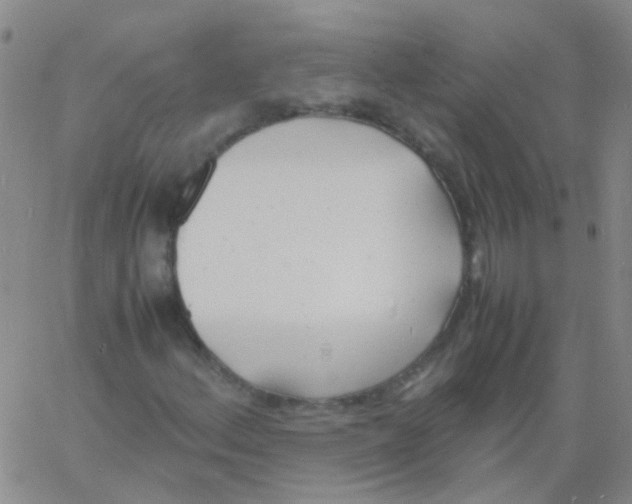 X0000060771156200512082026